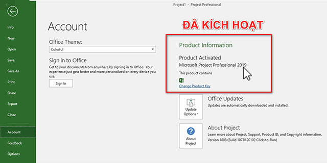 Cài đặt Microsoft Project 2019-13