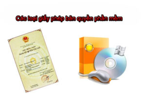 Các loại giấy phép bản quyền phần mềm